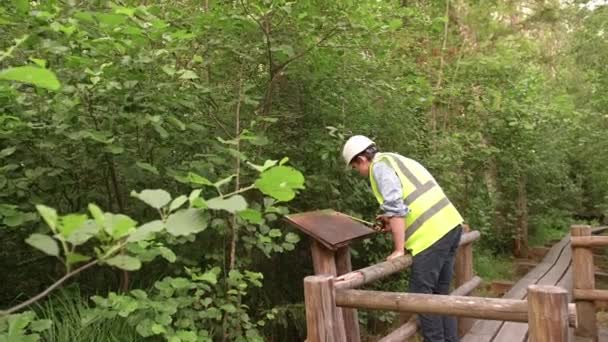 Junge Ökologe Baumeister Misst Eine Holzkonstruktion Trägt Eine Reflektierende Weste — Stockvideo