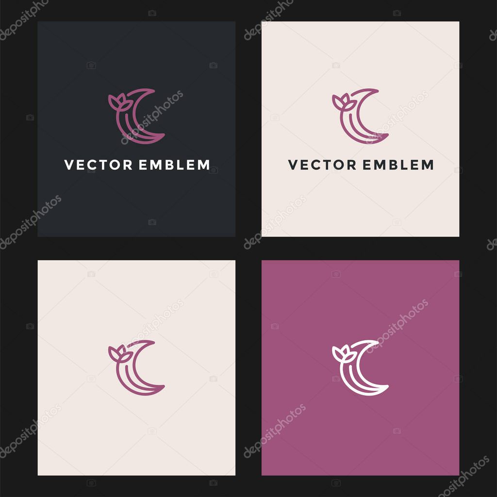 moon leaf abstract logo vector design template