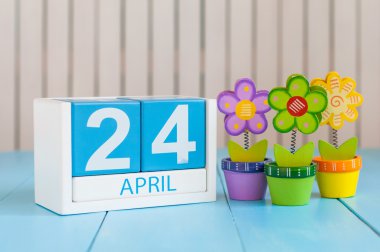 April 24th. Image of april 24 wooden color calendar on white background with flowers. Spring day, empty space for text. World Immunization Week