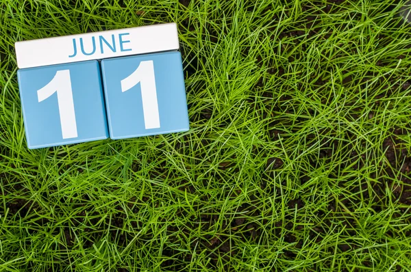 Le 11 juin. Image du 11 juin calendrier de couleurs en bois sur fond de pelouse d'herbe verte. Journée d'été, espace vide pour le texte — Photo
