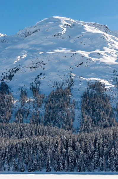Alpine Alps mountain landscape at St Moritz. Beautiful winter view on sunny day. — Stock Photo, Image