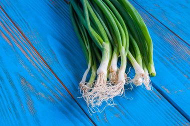 Spring onions also known as salad onions, green onion or scallions on blue wood table. Rustic background with free text space. clipart