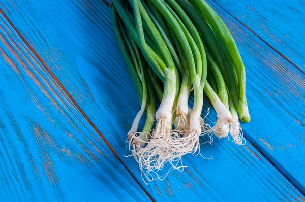 Oignons de printemps également appelés oignons de salade, oignons verts ou oignons verts sur table en bois bleu. Fond rustique avec espace de texte libre . — Photo