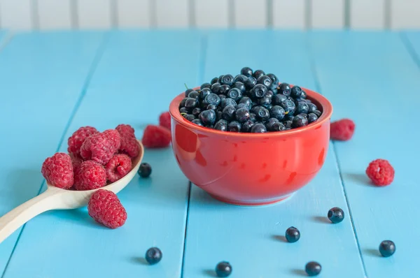 Blueberry antioxidant organic superfood in a bowl and ripe sweet raspberries at spoon. Concept for healthy eating nutrition — Stockfoto