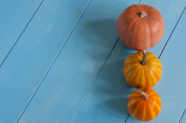 Minyatür Turuncu kabak hattı. Görünümü metin için boş yer ile top