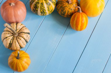 frame with pumpkins on a blue wooden table pumpkins. autumn harvest, empty space for text