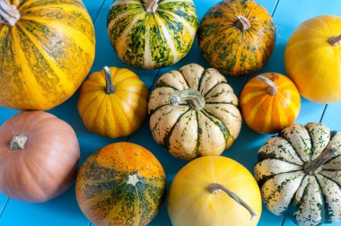 Colorful pumpkins on blue wooden table. Top view, autumn harvest and cooking background