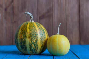 Two different pumpkins - one of autumn symbol, on dark wooden background