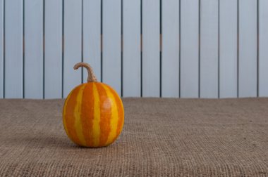 Orange striped pumpkin on white wooden backgraund, copy space for text