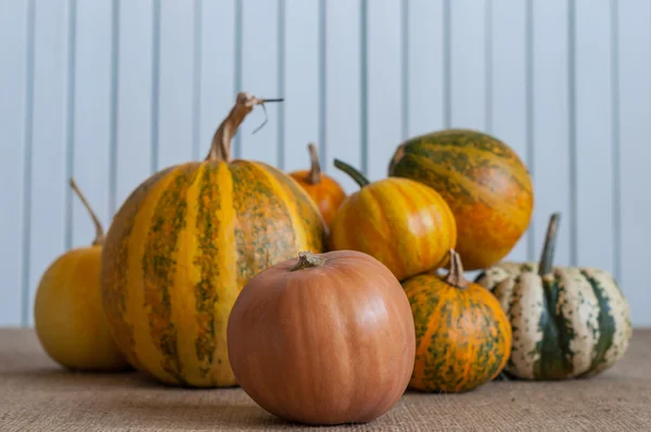 Herbstkürbisse mit Blättern auf dunklem Holzbrett — Stockfoto