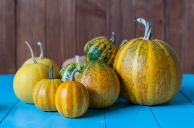 Rustik sonbahar hala ömrü çok kabak ahşap yüzey üzerinde. Parlak kabak seti