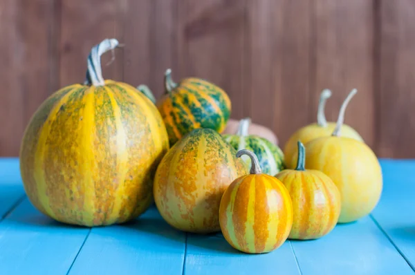 Fresh assorted pumpkin and squash from autumn garden on an old wooden table with dark background, copyspace — Zdjęcie stockowe