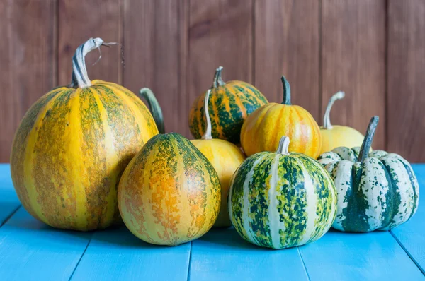 Herfst aard concept. vallen groenten en fruit op hout. Thanksgiving diner — Stockfoto