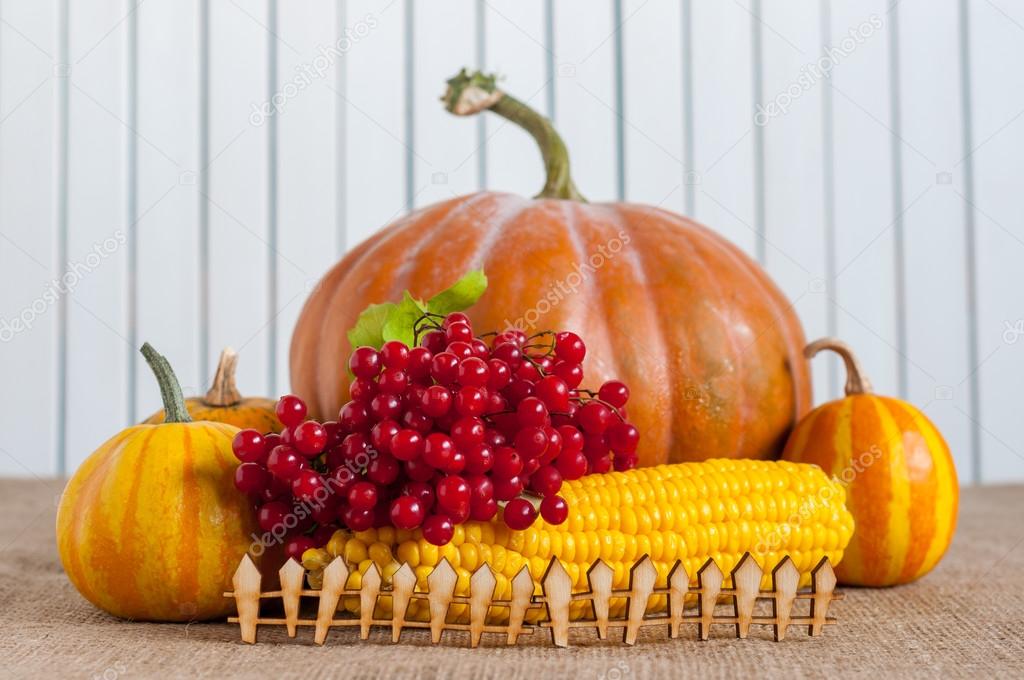 Thanksgiving still life - berries, corn and pumpkins on a table  behind miniature or toy wooden rustic fence, light background