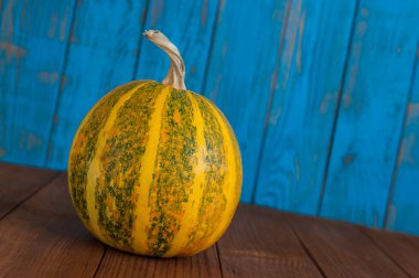 Art autumn Pumpkin thanksgiving background. Unique perspective