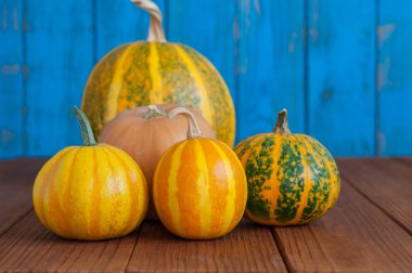 Many different pumpkins - ingridient for soup or cake. Concept of healthy vegeterian autumn food