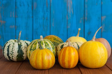 Dynie na drewniane tła z kopia miejsce