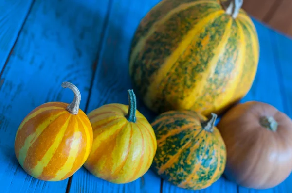 Pompoenen op houten achtergrond met kopie ruimte — Stockfoto