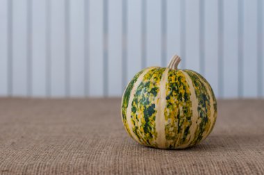 Beyaz ahşap backgraund, kopya alanı için metin üzerinde kabak yeşil çizgili