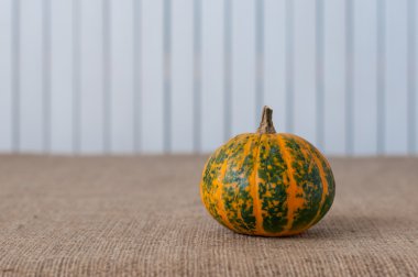 Beyaz ahşap backgraund, kopya alanı için metin üzerinde yeşil ve turuncu çizgili kabak