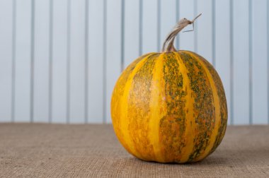 Sanat sonbahar kabak Şükran arka plan. Poster, menü ve tarifi için Retro kavramı.