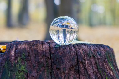 Glass transparent ball on the stamp with autumn forest On background. Soft focus. With empty space for text clipart