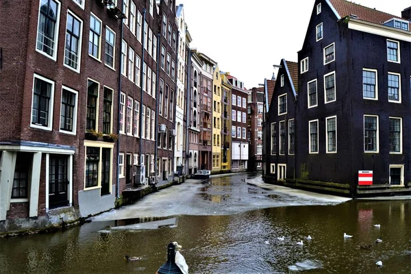 Amsterdam Tijdens Bewolkt Weer Historisch Gebouw Historisch Gebouw Rivier Zwemeenden — Stockfoto