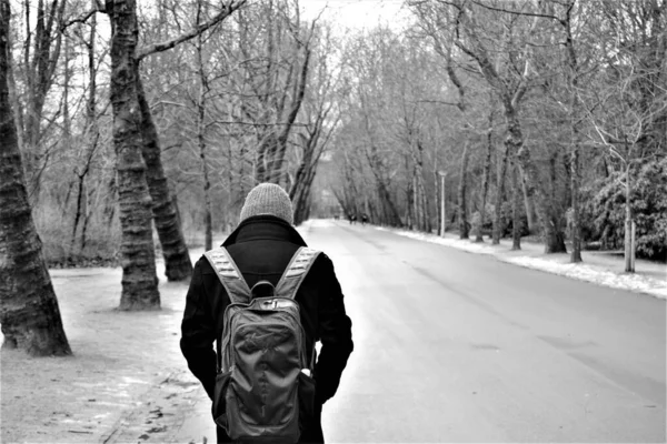 Caminho Preto Branco Amsterdã Homem Caminhando Caminho Dentro Das Árvores — Fotografia de Stock