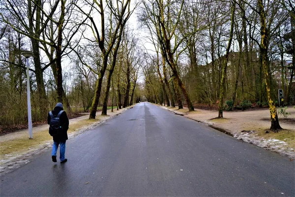 Czarno Biały Sposób Amsterdamie Mężczyzna Przechadzający Się Drzewach Parku Rijeka — Zdjęcie stockowe