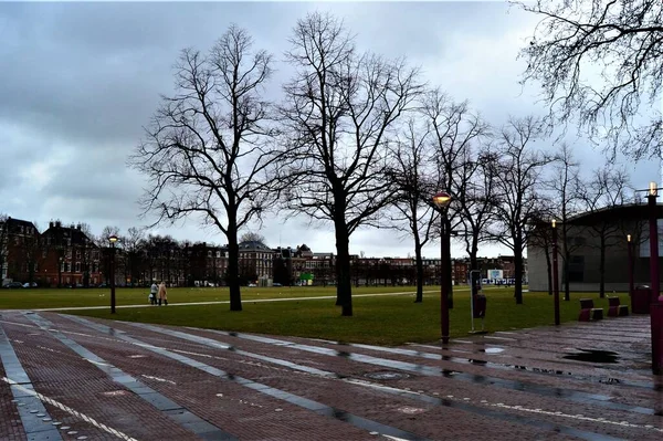 Yağmurlu Havada Amsterdam Şehri Manzarası Hollanda Amsterdam Sonbaharda Solmuş Ağaçlar — Stok fotoğraf