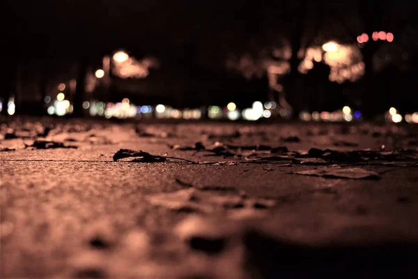 Basement Berlin Street Night Berlin City Photo Autumn Withered Leaves — Stock Photo, Image