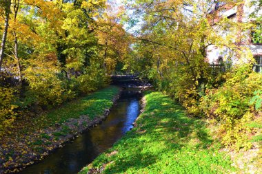 Küçük nehrin etrafında yeşil ve sarı yapraklar var. Küçük nehir ve sarı ve yeşil bitkilerin manzarası. Leipzig.Almanya 'da sonbahar manzarası