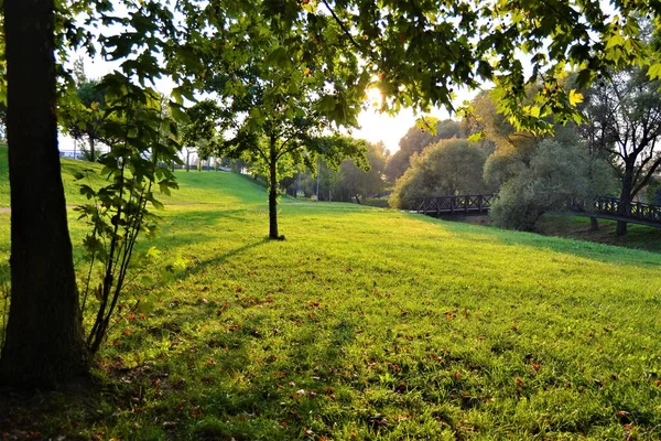 Parque Verde Wiev Durante Día Soleado Sombras Durante Puesta Del — Foto de Stock