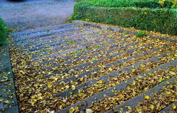 Sonbahar Boyunca Leipzig Yapraklarıyla Leipzig Şehrine Düş Merdivenlerde Düşen Yapraklar — Stok fotoğraf