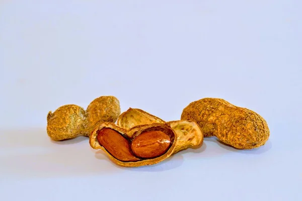 Groups Salted Baked Peanuts Unshelled Shelled Peanuts Baked Salt Isolated — Stock Photo, Image