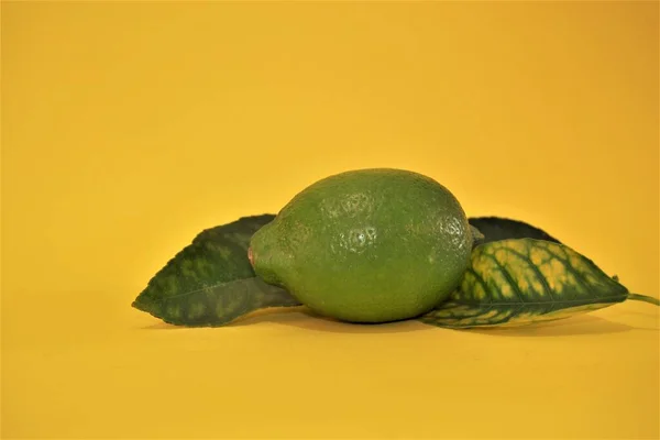 Foto Isolada Limão Verde Verde Limão Fresco Isolado Fundo Folhas — Fotografia de Stock