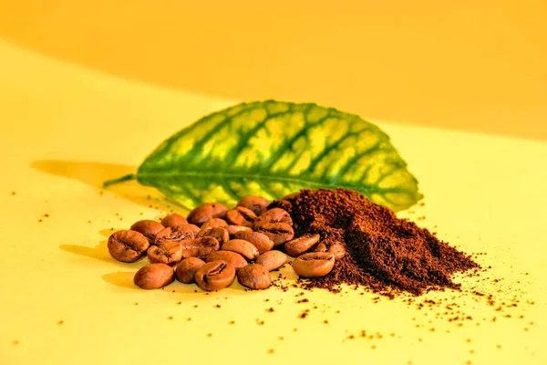 Kaffeebohnen Und Fein Gemahlen Grüne Blätter Und Frisch Geröstete Arabica — Stockfoto