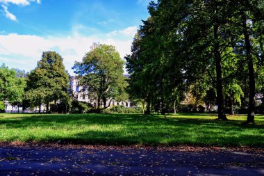 10.09.2011 'de Chemnitz bahçesinde çiçekler. Chemnitz, Doğu Almanya 'da renkli çiçekler ve yeşil çimen parkı