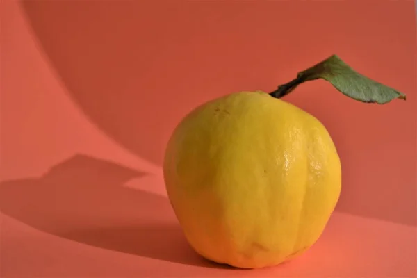 Fresh fruit and its leaf. Fresh, growth and very tasty quince. Very bright yellow and and its leaf. Isolated background.