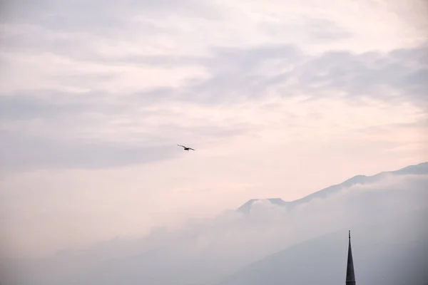 Minaret Mouette Gros Brouillard Ulu Montagne Uludag Arrière Plan Par — Photo