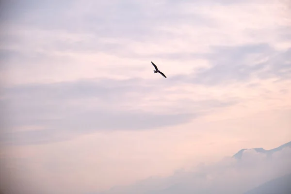 Vögel Himmel Bedeckt Und Sehr Bewölkt Bei Sonnenschein Bursa — Stockfoto
