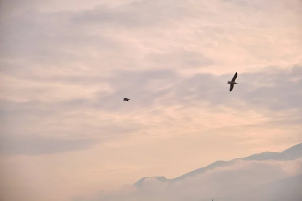 Pássaros Céu Clima Nublado Muito Nublado Durante Sol Bursa Sky — Fotografia de Stock