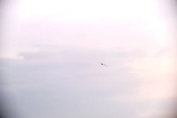 Pájaros Cielo Clima Nublado Muy Nublado Durante Sol Bursa Sky — Foto de Stock