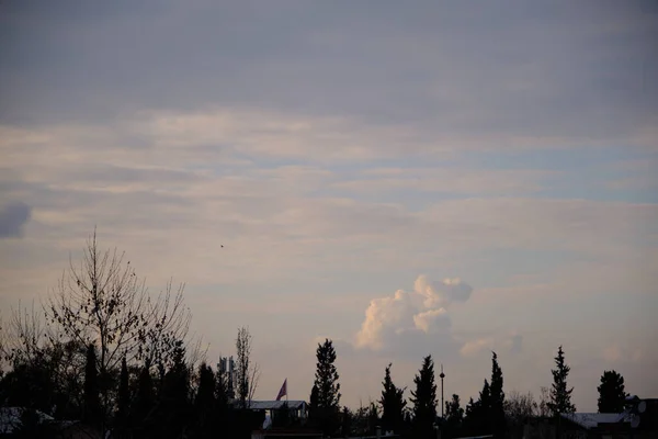Kiefer Himmel Bei Bewölktem Und Bewölktem Himmel Hintergrund — Stockfoto