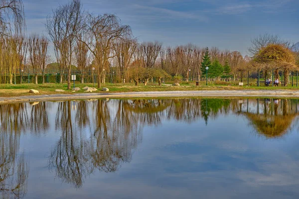 Tema Autunnale Alberi Secchi Marroni Sua Magnificenza Riflesso Sull Acqua — Foto Stock