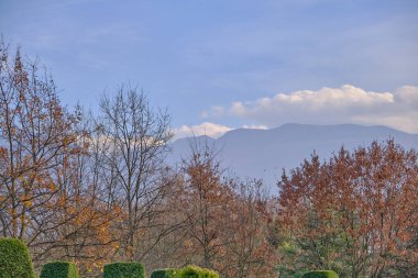 Sonbahar teması. Solmuş, kurumuş kahverengi ağaçlar güneşli ve parlak bir günde gökyüzüne uzanan ulu dağı (uludag) ve büyük bulutlar arka planda.