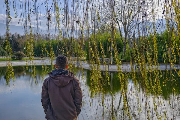 Homme Face Arrière Regardant Petit Lac Magnifique Reflet Des Plantes — Photo