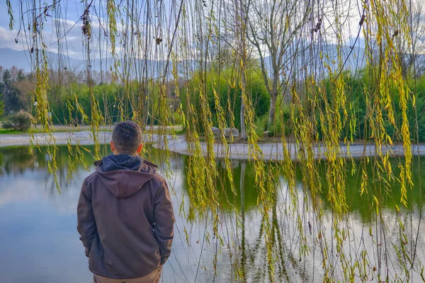 Homme Face Arrière Regardant Petit Lac Magnifique Reflet Des Plantes — Photo