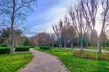 Yolun yakınındaki çakıl ve ağaçtan yapılmış yürüyüş yolu. Gökyüzü arkaplanlı kurumuş ağaçlarla sonbahar teması.