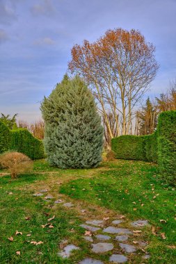Yeşil çimlerin ve muhteşem ağaçların etrafındaki kaldırım taşlarından yapılmış küçük patikalar. Sonbahar teması ve kurumuş ağaçlar 